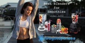 best belnders for smoothies under $200