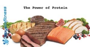 The Power of protein article cover
