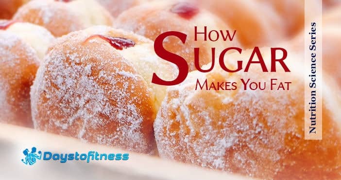 how sugar makes you fat cover
