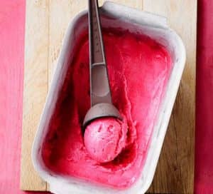 gluten-free Rhubarb & star anise sorbet