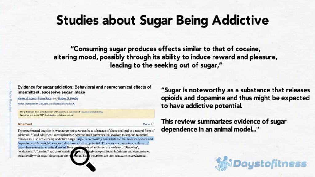 sugar creates dependece study 2