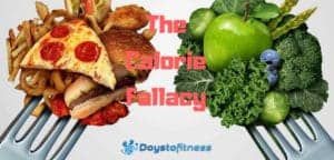 The Calorie Fallacy post
